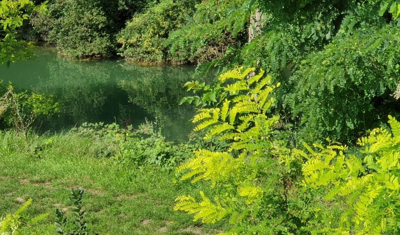 Au Petit Canal De Colmar 2 Kunheim エクステリア 写真